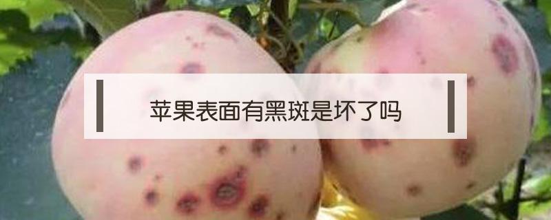 苹果表面有黑斑是坏了吗