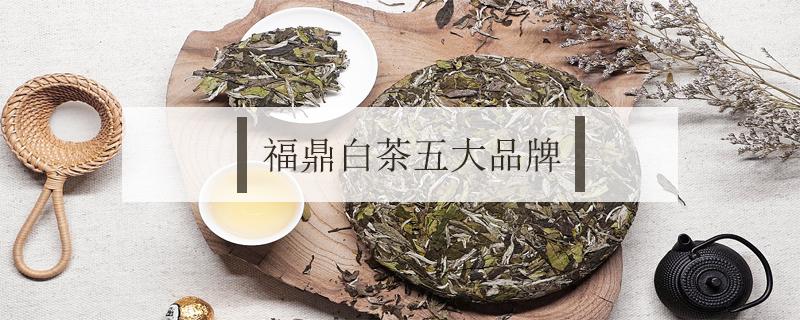 福鼎白茶五大品牌（福鼎白茶著名品牌）