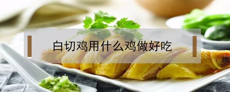 白切鸡用什么鸡做好吃（白切鸡怎么做最好吃）