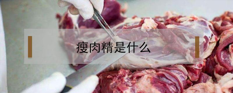 瘦肉精是什么