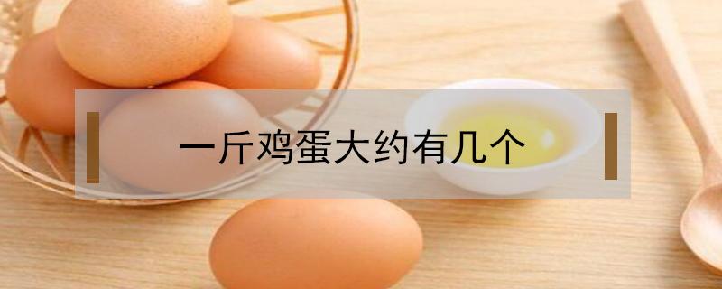 一斤鸡蛋大约有几个 一斤鸡蛋大约有几个人