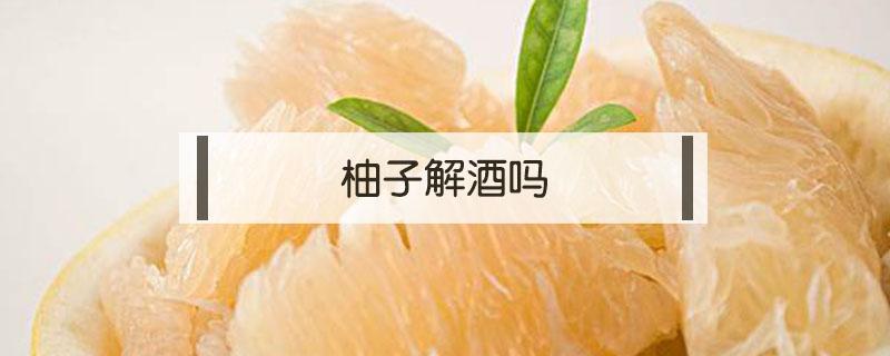 柚子解酒吗（喝完酒吃柚子解酒吗）