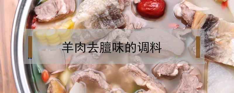 羊肉去膻味的调料（羊肉去膻味的调料配方）