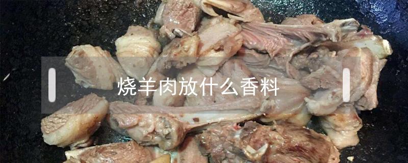 烧羊肉放什么香料 烧羊肉放什么香料去腥