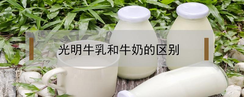 光明牛乳和牛奶的区别