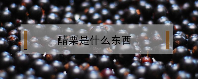 醋栗是什么东西（醋栗是什么?）