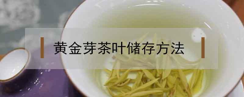 黄金芽茶叶储存方法（黄金芽茶叶怎样储藏）