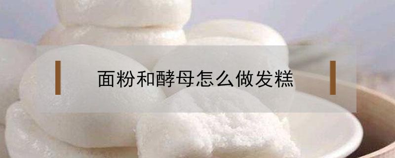 面粉和酵母怎么做发糕 发糕面怎么发酵