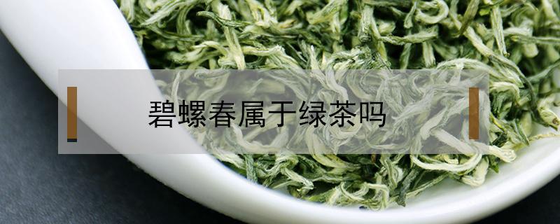 碧螺春属于绿茶吗 洞庭碧螺春属于绿茶吗