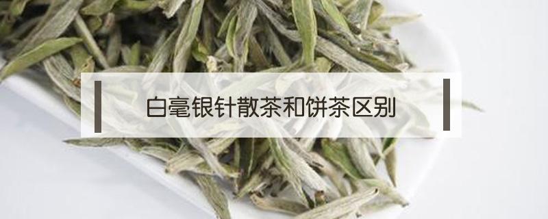 白毫银针散茶和饼茶区别 白毫银针和白茶饼有啥区别