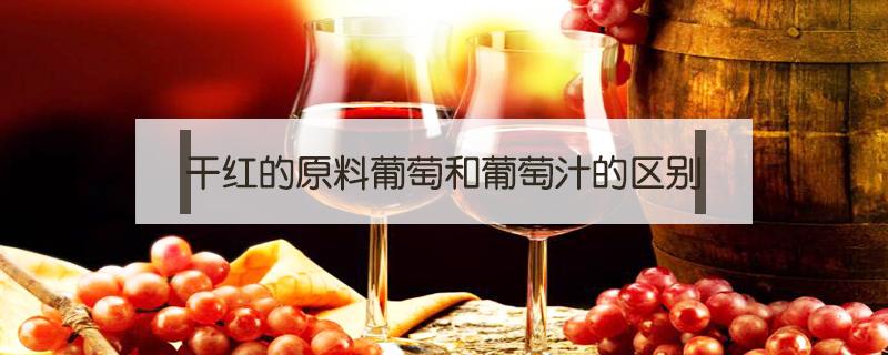干红的原料葡萄和葡萄汁的区别 干红原料和辅料葡萄汁