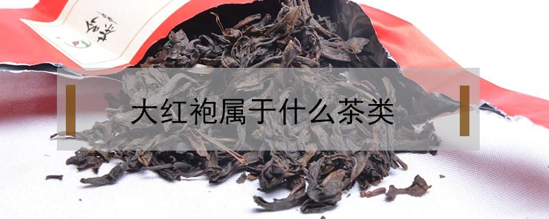大红袍属于什么茶类 大红袍属于什么茶类,哪个季节喝