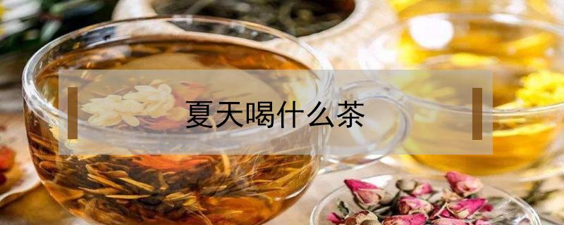 夏天喝什么茶