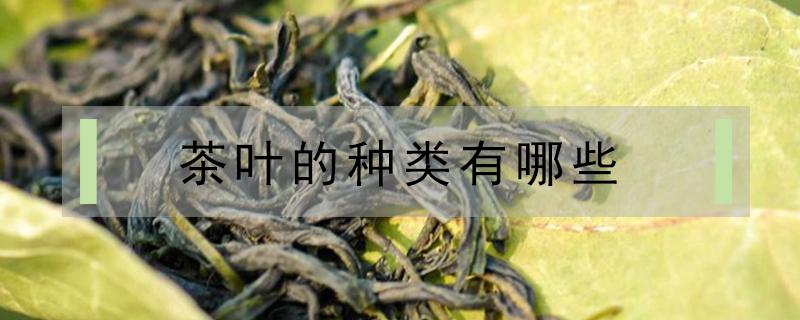 茶叶的种类有哪些