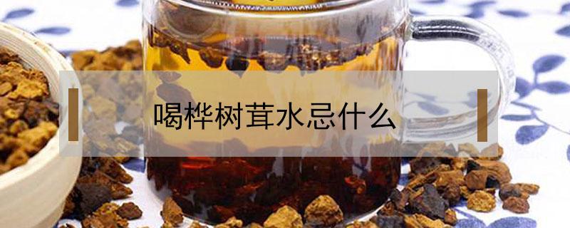 喝桦树茸水忌什么（喝桦树茸水忌什么?）