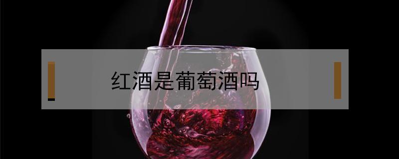 红酒是葡萄酒吗