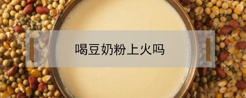 喝豆奶粉上火吗（经常喝豆奶粉上火吗）