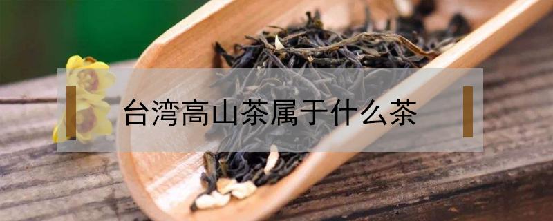 台湾高山茶属于什么茶 台湾高山茶属于什么茶和铁观音