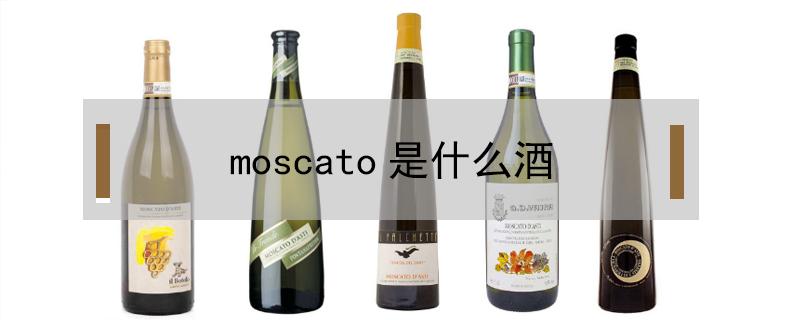 moscato是什么酒（moscato是什么酒多少钱）