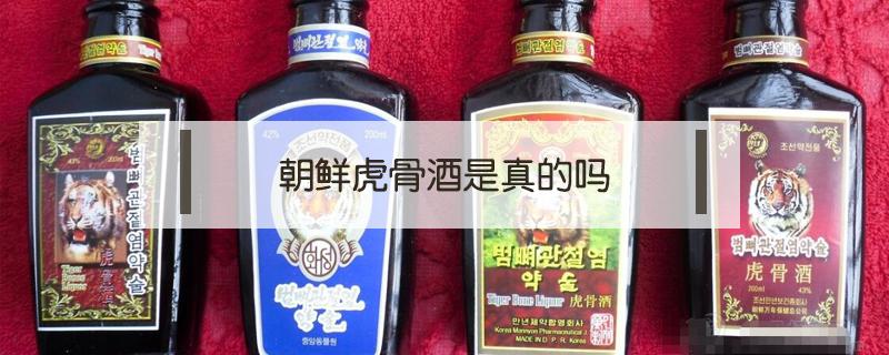 朝鲜虎骨酒是真的吗 朝鲜虎骨酒是真的吗?