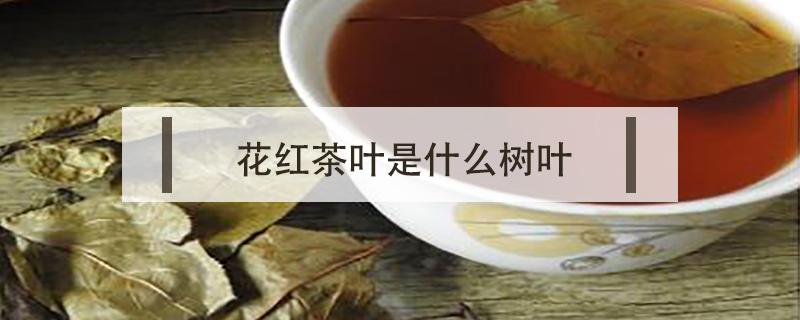 花红茶叶是什么树叶 花红茶树长什么样