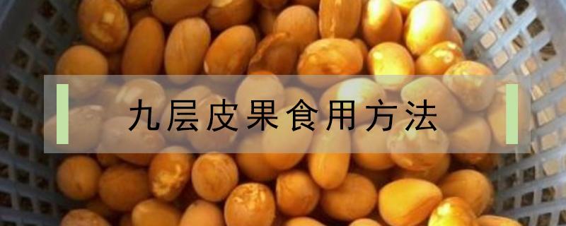 九层皮果食用方法 九层皮果吃法