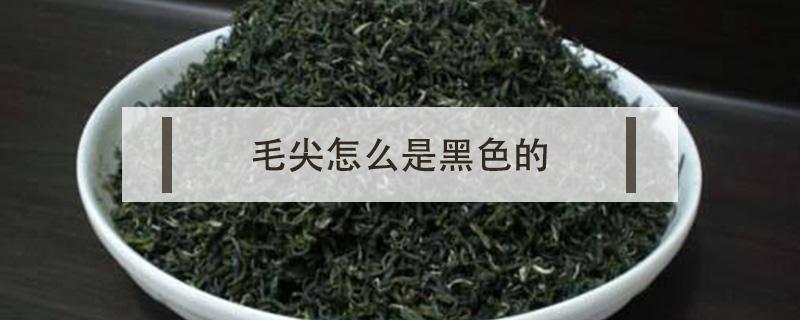 毛尖怎么是黑色的