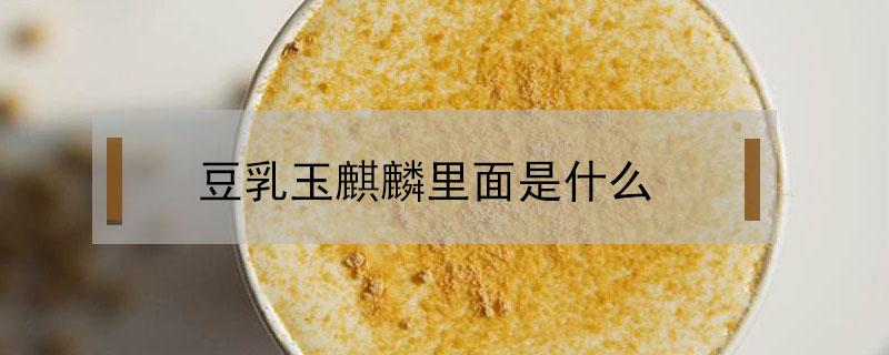 豆乳玉麒麟里面是什么 豆乳玉麒麟里面是什么茶