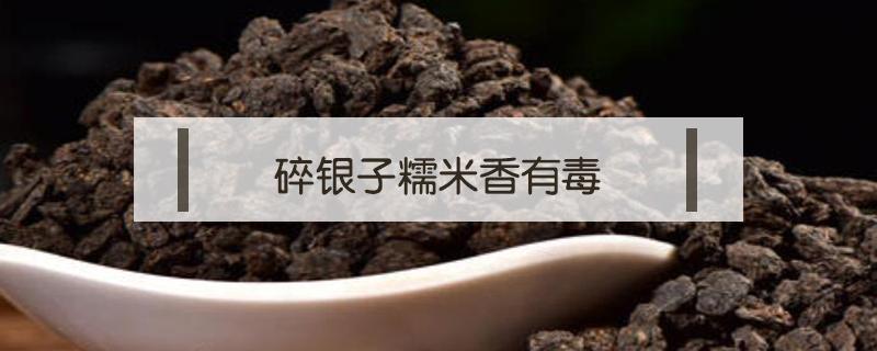 碎银子糯米香有毒 碎银子糯米香有毒吗?