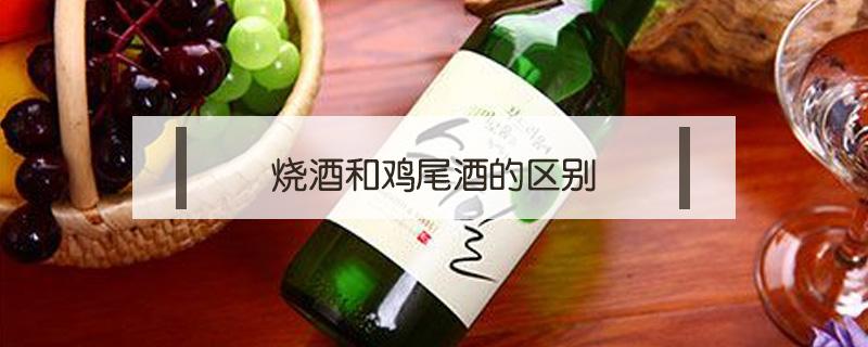 烧酒和鸡尾酒的区别（鸡尾酒和什么）