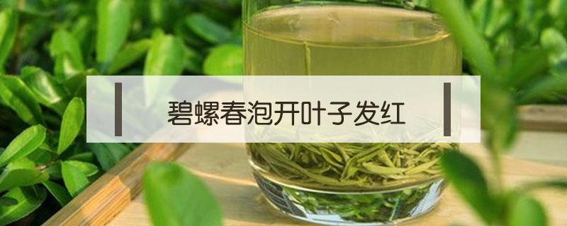 碧螺春泡开叶子发红 碧螺春泡出来发黄