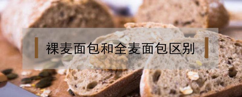 裸麦面包和全麦面包区别（裸麦面包和全麦面包哪个糖分高）