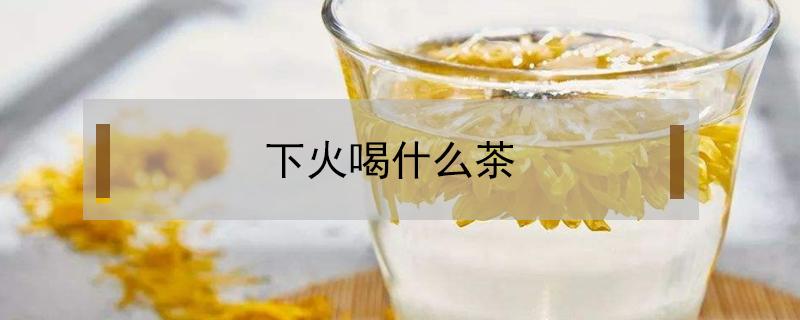 下火喝什么茶（下火喝什么茶效果最好）
