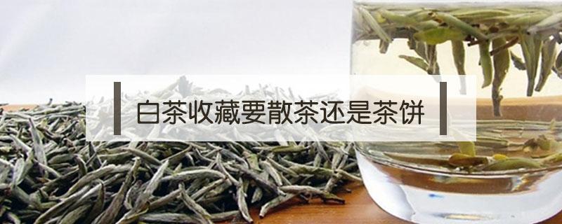 白茶收藏要散茶还是茶饼