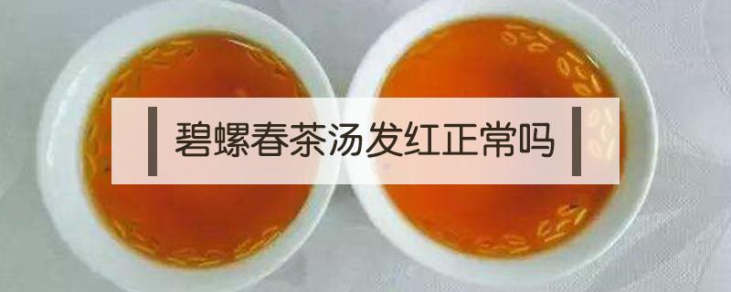 碧螺春茶汤发红正常吗 碧螺春茶汤发黄