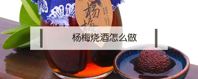 杨梅烧酒怎么做（杨梅烧酒的杨梅）