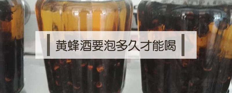 黄蜂酒要泡多久才能喝 黄蜂泡酒多久可以喝