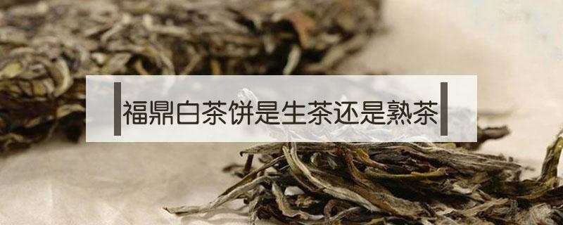 福鼎白茶饼是生茶还是熟茶（福鼎白茶是熟茶吗）