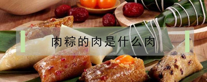 肉粽的肉是什么肉（肉粽子的肉是什么肉）