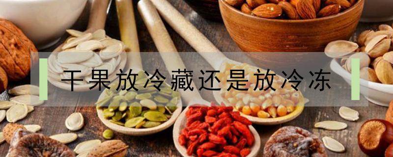 干果放冷藏还是放冷冻 干果存放冷冻保存可以吗