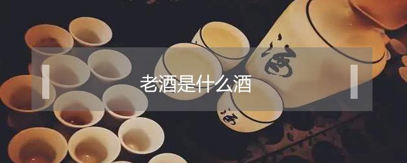 老酒是什么酒