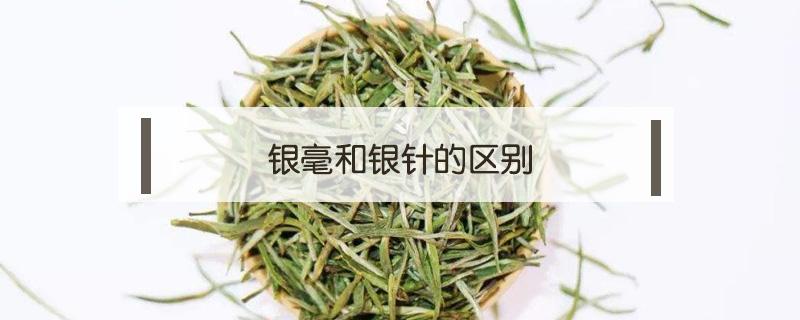 银毫和银针的区别 银针是银的吗