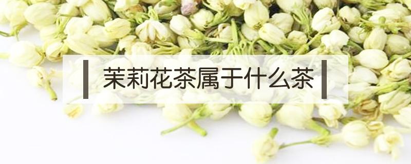 茉莉花茶属于什么茶（猴王茉莉花茶属于什么茶）