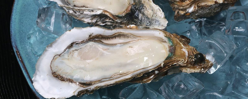 牡蛎和生蚝的区别是什么 牡蛎和生蚝的区别是什么?