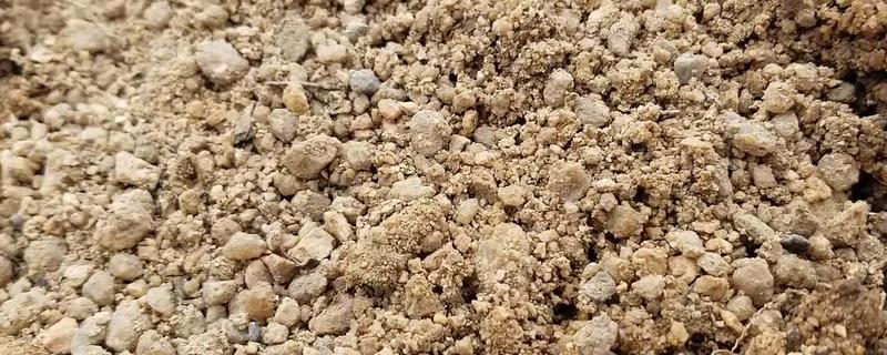 沙土的特点，适合种植什么作物 沙土有什么特点?