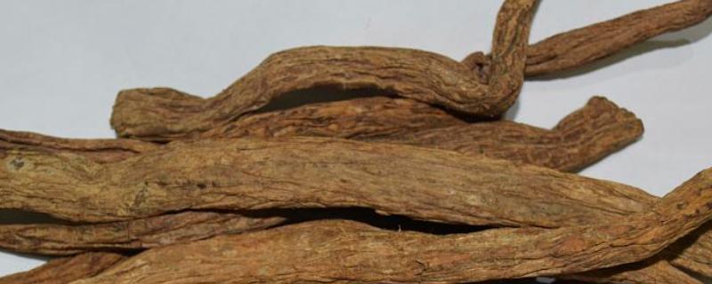 百部一亩种多少株，几年才能收获（百部一亩种多少株,几年才能收获一次）