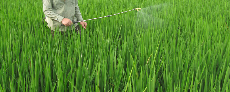 农用硫酸锌的作用效果，使用说明 农用硫酸锌的作用与使用说明
