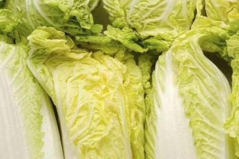 冬天成熟的农作物