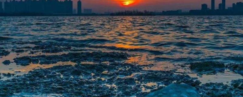 总磷超标的原因及对策，有哪些危害（总磷超标的原因以及解决方法）