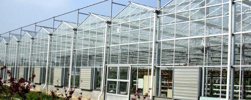 如何建造温室玻璃大棚，造价多少 玻璃温室大棚建造全过程